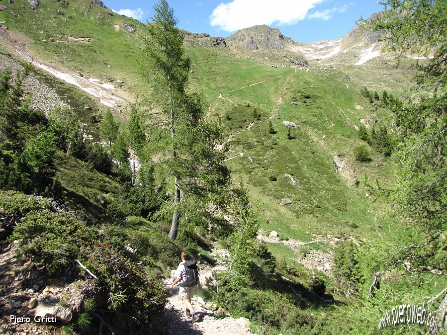 60 Il sentiero 215 che sale al Passo di Mezzeno-Laghi Gemelli.jpg